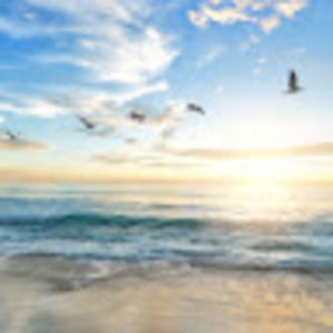 Meet your Posher, Radhika